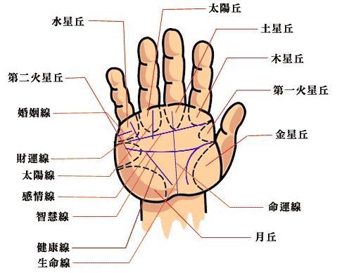 断掌什么成语_男人断掌代表什么(3)