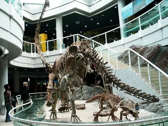 深圳古生物博物馆坐落于深圳仙湖植物园古化石森林旁,其展厅外形酷似