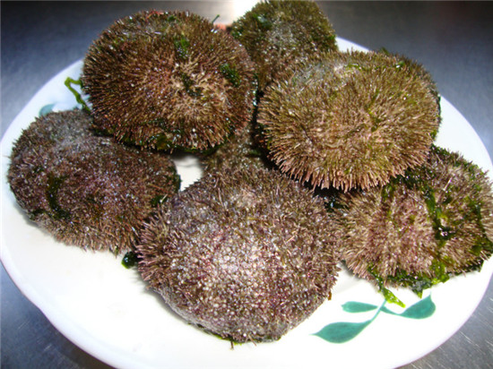 马粪胆 因为海胆的种类很多,作为一种时令海鲜,各个月份日本市场的