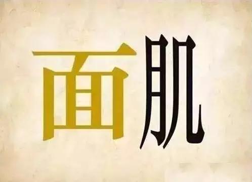 在中国成语大会猜成语是什么成语_中国成语大会 创新猜词形式