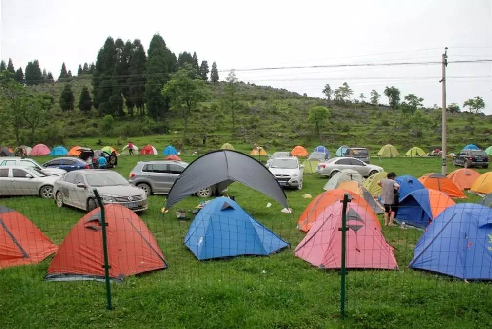 这点露营方便得很,自驾去的朋友可以把车直接开到营地,选择