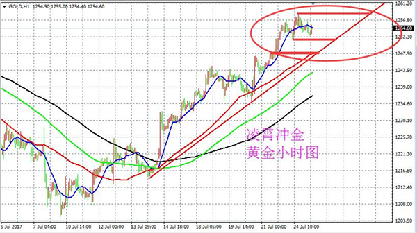 波动与趋势解析