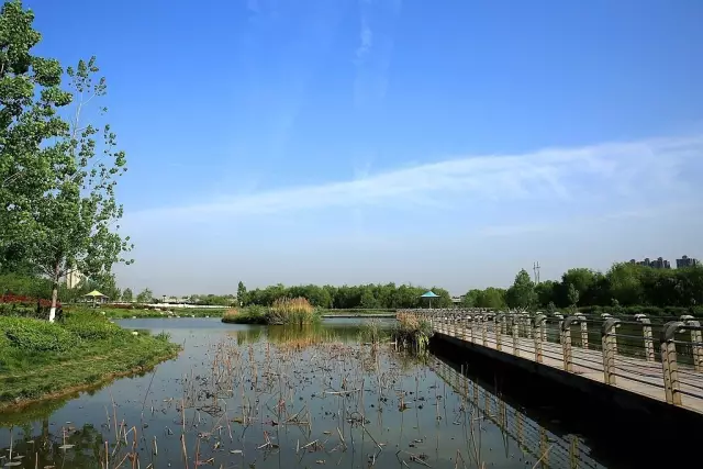 灞桥生态湿地公园游玩全攻略 比兴庆宫公园大10倍