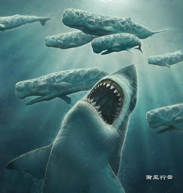 巨齿鲨2