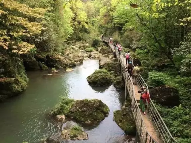 旅游 正文  地址:雅安市荥经县龙苍沟 门票:30元