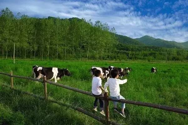 1,好山好水好民宿!避暑只服莫干山!