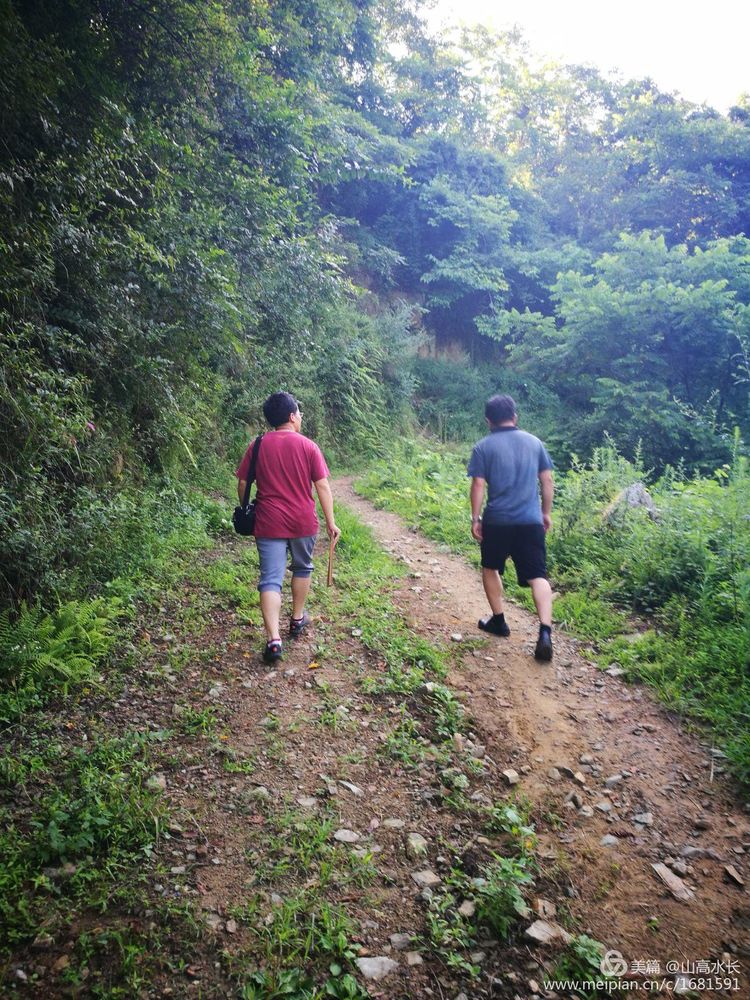 踏着泥泞山路,开始上山还不停感叹这里植被好,空气好!