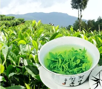 南京雨花茶—万古长青真英雄