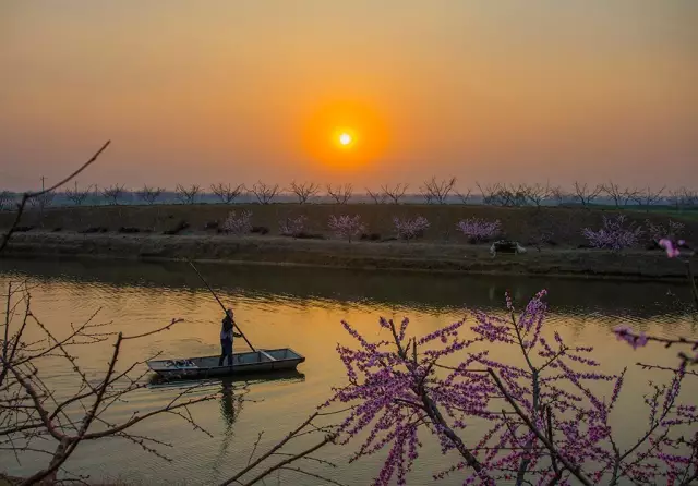 泗洪县天岗湖,城头,陈圩三乡摄影大赛圆满落幕