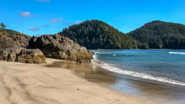 地址:1431 pacific rim hwy tofino bc san josef bay 圣约瑟夫