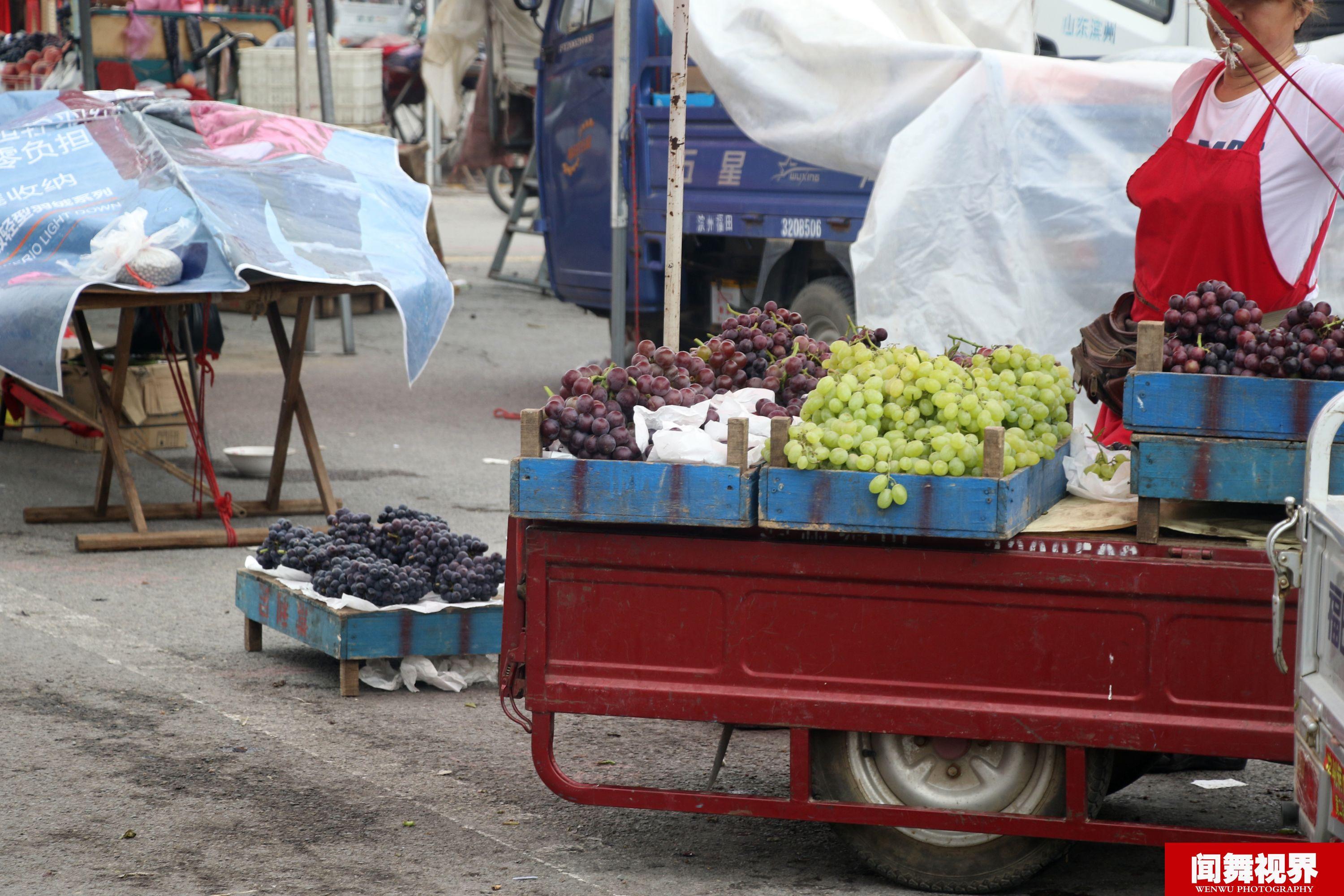 在山东滨州农村大集上无籽葡萄3块钱一斤,不过购买的顾客并不多,摆摊
