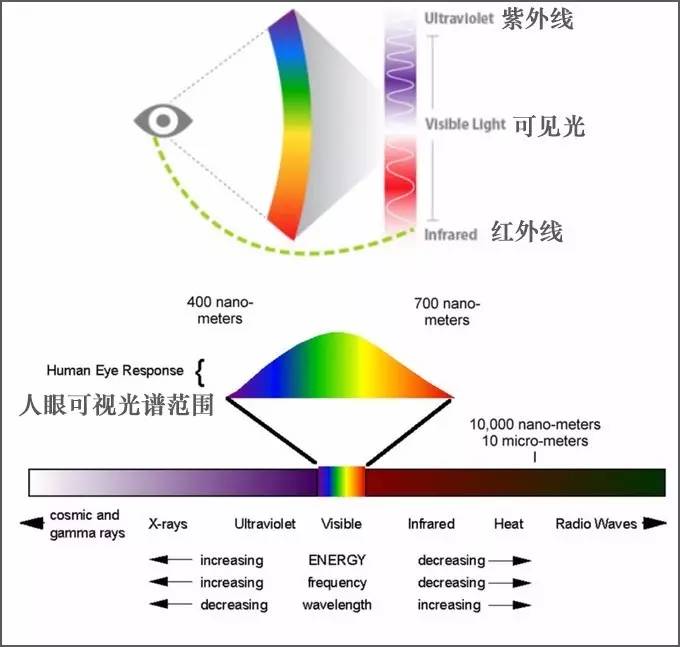 这是因为 the story lamp 内置的紫外光,使一些原本人眼看不见的光彩