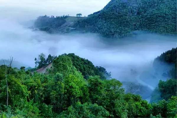 白石岩,雾龙山,小道河森林公园等,是临沧最为出名的旅游景区