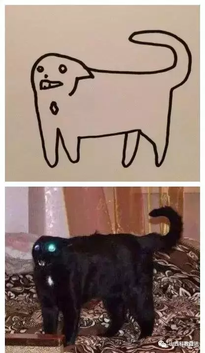 这是猫吗这是猫小学生画的奇葩猫太雷人