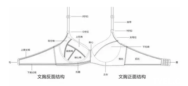 内衣的成本_打架的成本