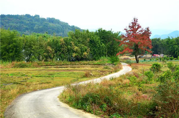 曲曲折折的小路,要带我去哪里?