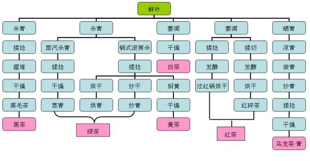 洪普号|你最想知道的六大茶类