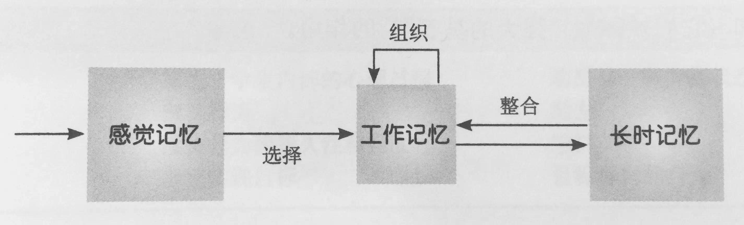 多媒体学习的认知理论所呈现的三种学习认知过程,只是为了帮助我们