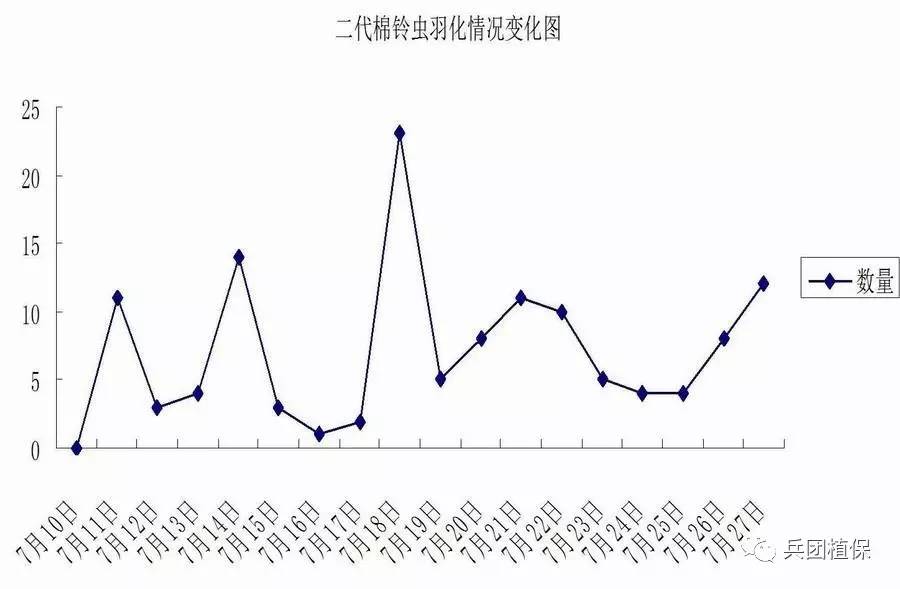 石河子143兵团人口数量_石河子兵团照片(2)