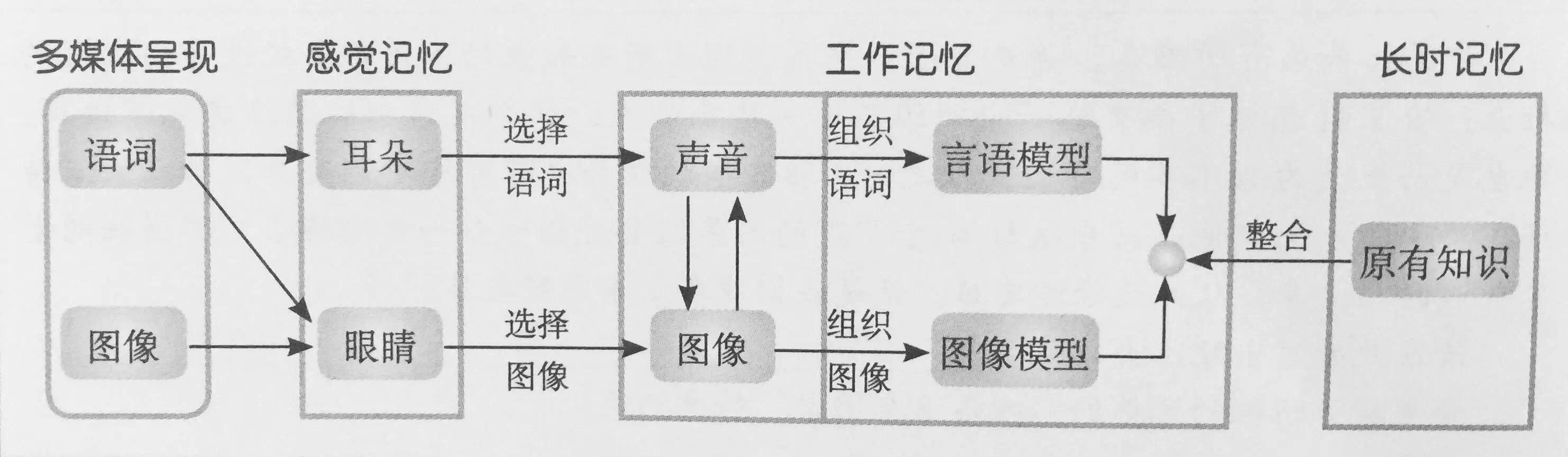 加工的系统模型:一,多媒体学习的认知理论学习本质上是一个认知过程