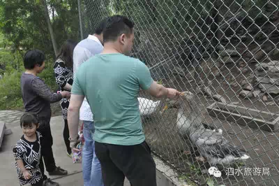 避暑度假好出去:泗水圣源山庄度假村