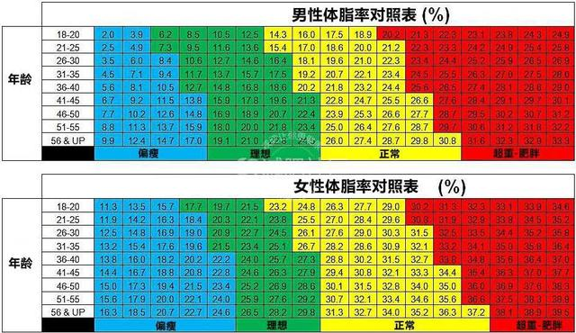 体脂率计算器