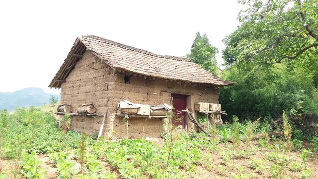 硒妹儿:"秦岭小院"深山里的土房子,都在这里