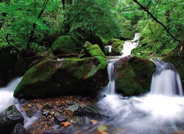 距离西安1小时,青山绿水天然氧吧,避暑好地方!