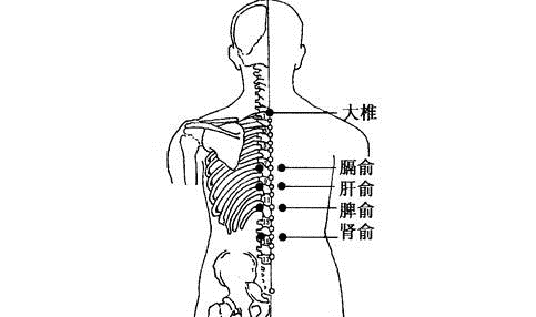 2,中脘,神阙(肚脐),天枢 3,足三里