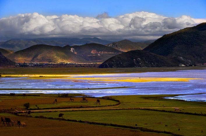 纳帕海自然保护区位于云南省迪庆藏族自治州的香格里拉县.