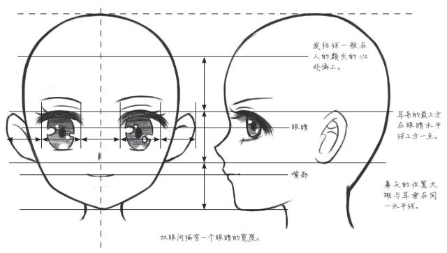 "看脸时代"从头部开始学习漫画入门技法