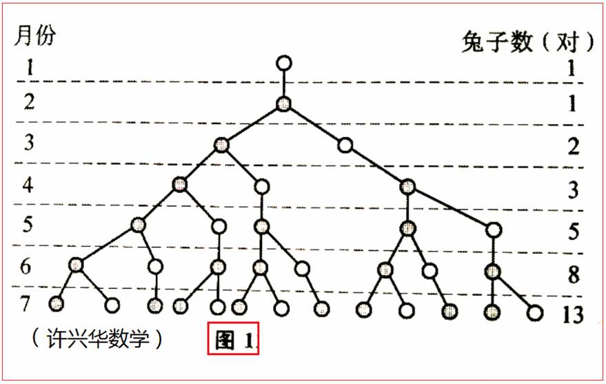 你了解"斐波那契"数列吗?