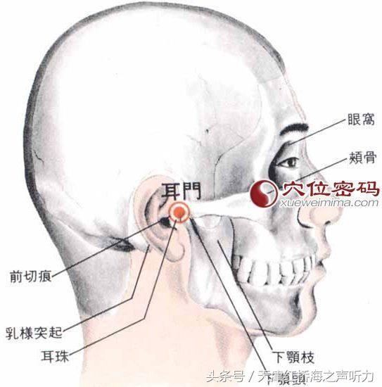 【穴位解剖】有颞浅动,静脉耳前支;布有耳颞神经,面神经分支.