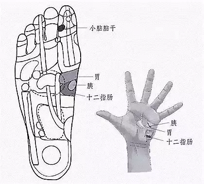 超实用!每天拉拉大拇指,一生难得颈椎病