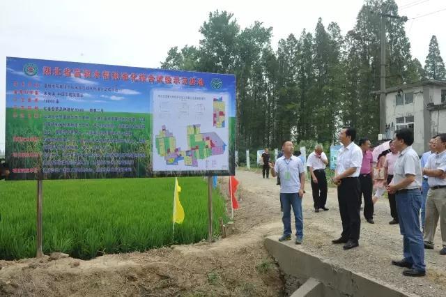 了湖北省富硒水稻标准化综合试验示范基地,认真检查了富硒水稻长势