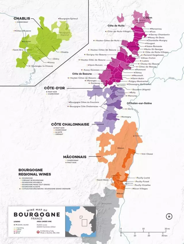 dalefold分享:从这四点快速了解法国葡萄酒
