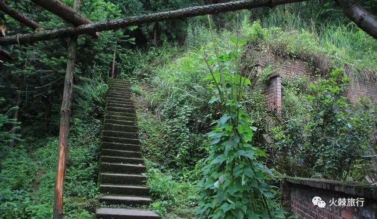 地址:峨眉山市高桥镇张沟村 门票:免费 自驾路线:成都-成乐高速-乐山