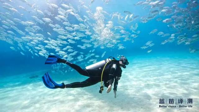 自由潜水也是一项世界性的赛事运动,被《福