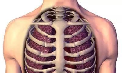小儿鸡胸是一种常见病症,特点是胸骨前凸,两侧胸壁低平.