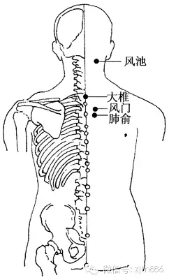 健康 正文  感冒,咳嗽,刮痧拔罐疗法 很灵验参考文1感冒咳嗽刮痧部