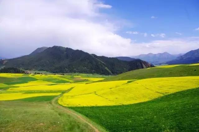 河西走廊生态经济区