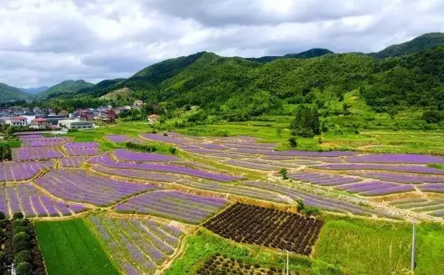 除了湘湖萧山还有哪些好玩的地方?