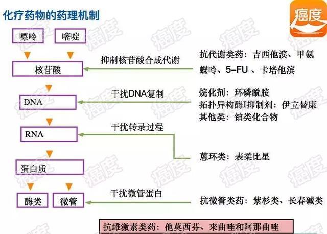 化疗原理是什么_化疗是什么过程图解