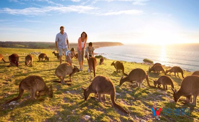 澳大利亚旅游局：20％消费者在使用VR选择度假胜地