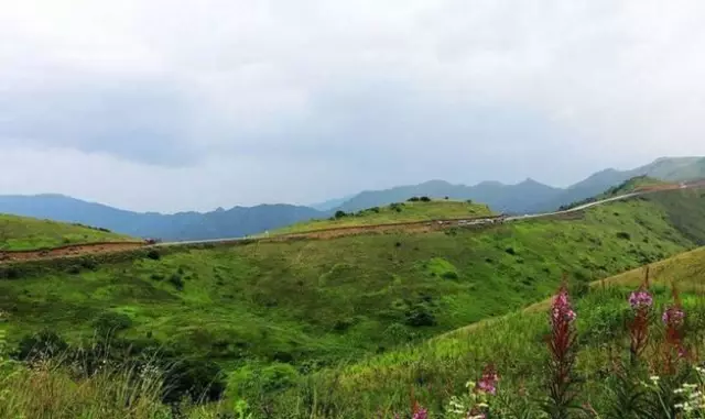 正阳草原位于安康平利县正阳乡与重庆城口县的交界处,有2万余顷的高山