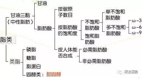 绿波清脂:减肥过程中,不可缺少的七类营养素!