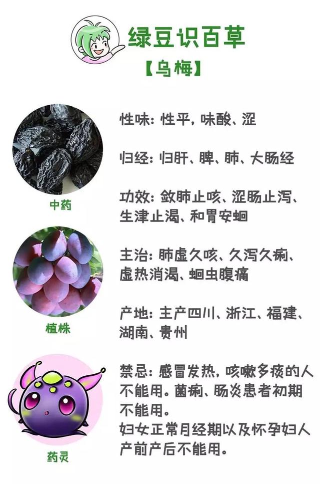 药有什么成语_成语故事都有什么名字(3)