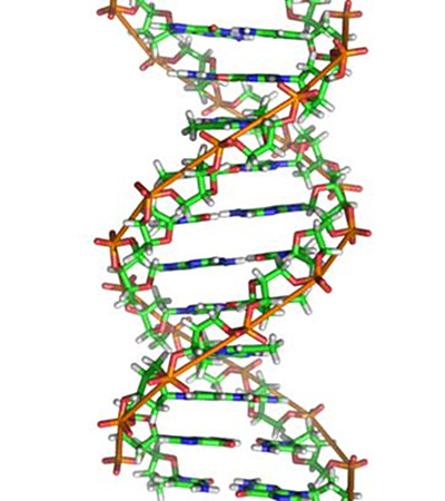 对生物来说,基因是生物大分子dna(脱氧核糖核酸)上面有"密码"的那一截