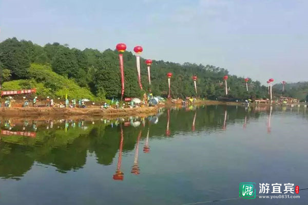 游宜宾推荐:仙鹅湖油樟庄园,原生态湖鱼