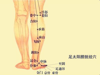 超实用的88个精选穴,一病对应的最有效的穴位图解